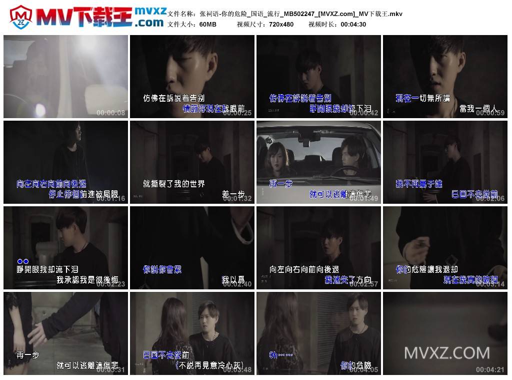 张祠语-你的危险_国语_流行_MB502247